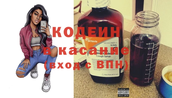 мдпв Весьегонск