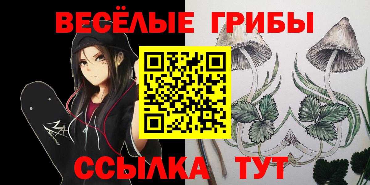 Галлюциногенные грибы прущие грибы Сатка