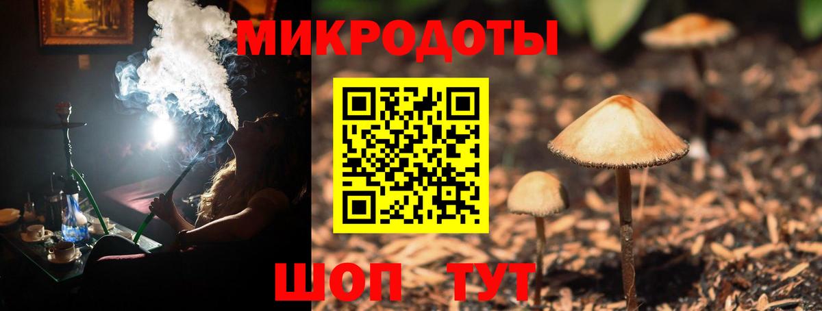 Сатка  Галлюциногенные грибы мицелий  Вход с VPN  Псилоцибиновые грибы Psilocybe 